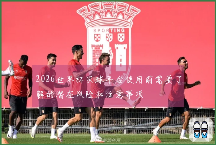 2026世界杯买球平台使用前需要了解的潜在风险和注意事项
