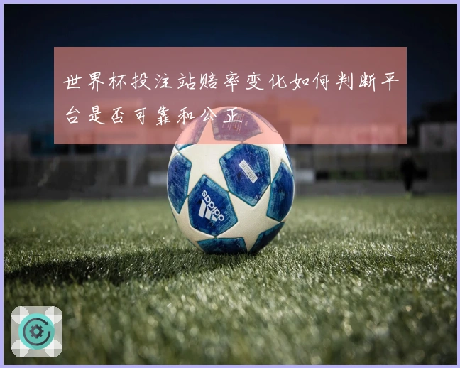 世界杯投注站赔率变化如何判断平台是否可靠和公正