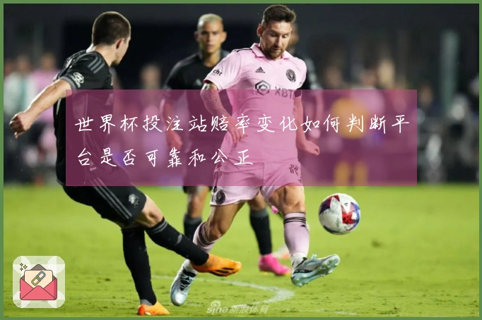 世界杯投注站赔率变化如何判断平台是否可靠和公正
